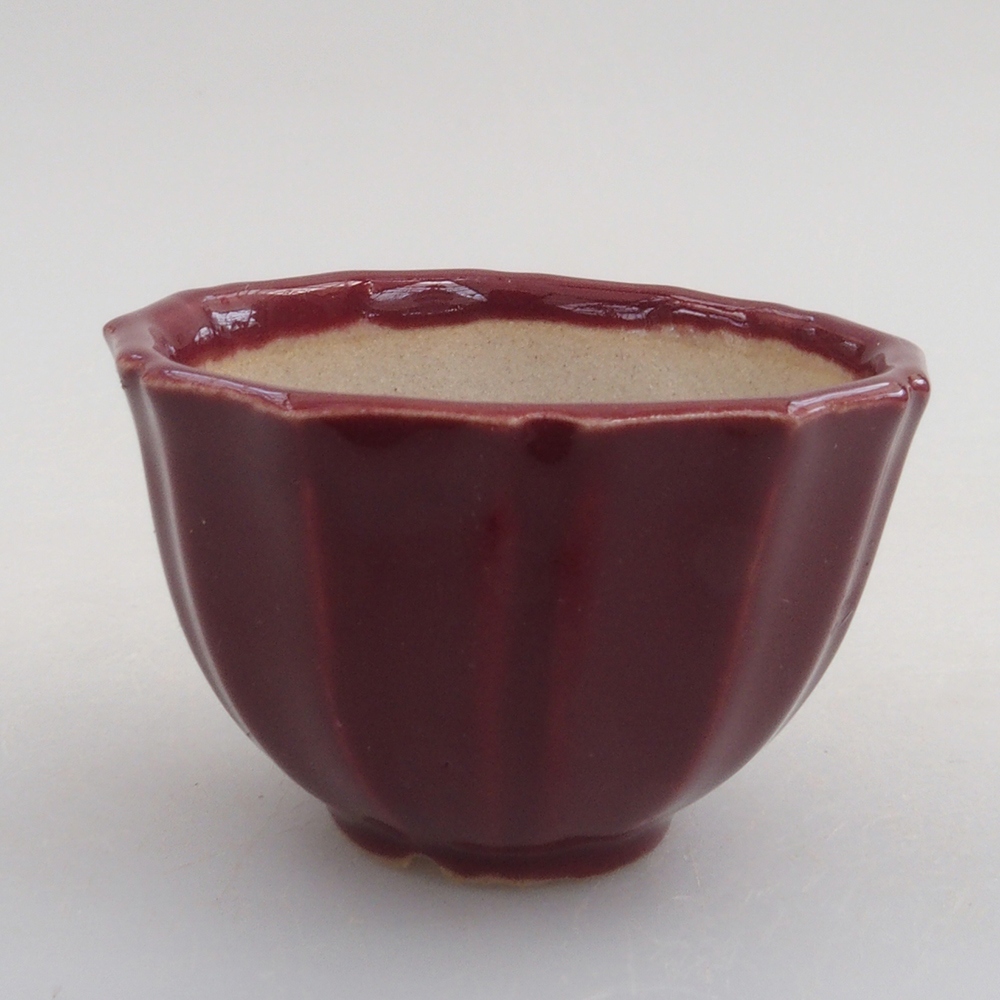 Mini-Bonsaischale 5 x 5 x 3 cm, bordeauxrot