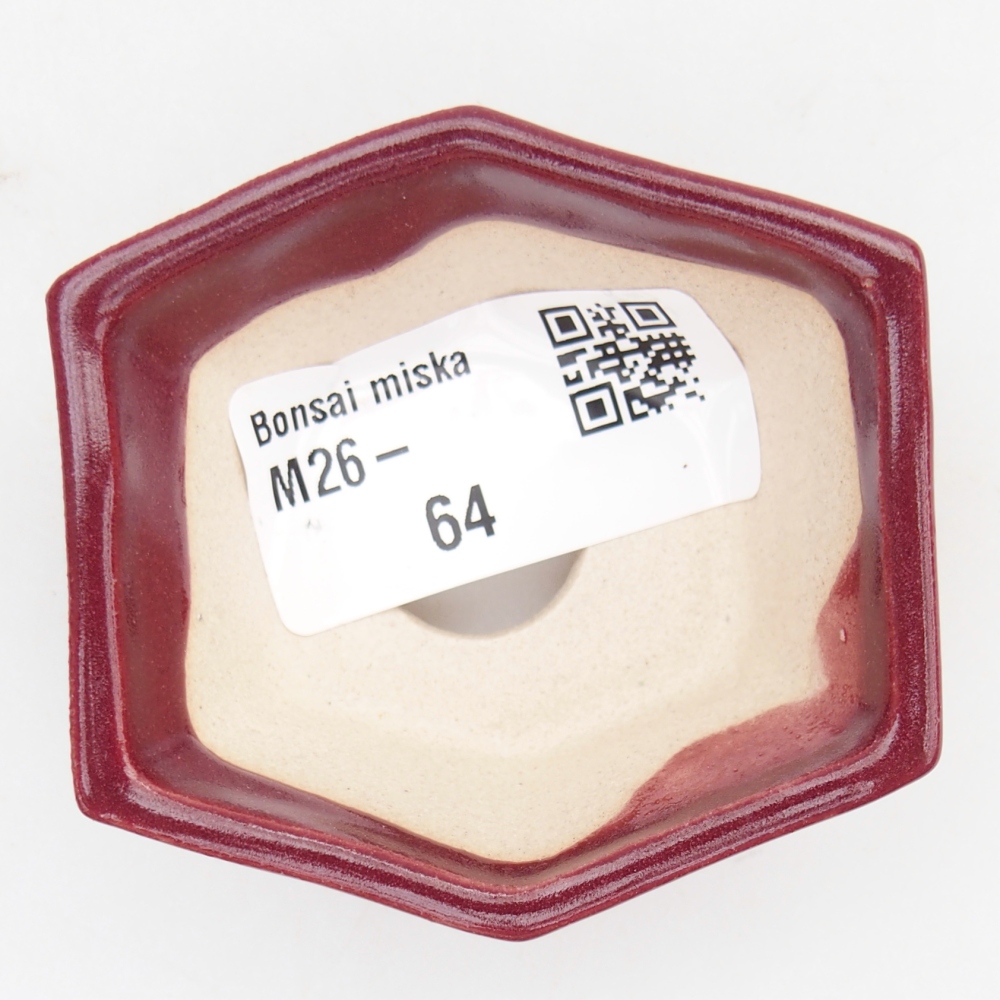 Mini-Bonsaischale 6 x 5,5 x 2,5 cm, bordeauxrot
