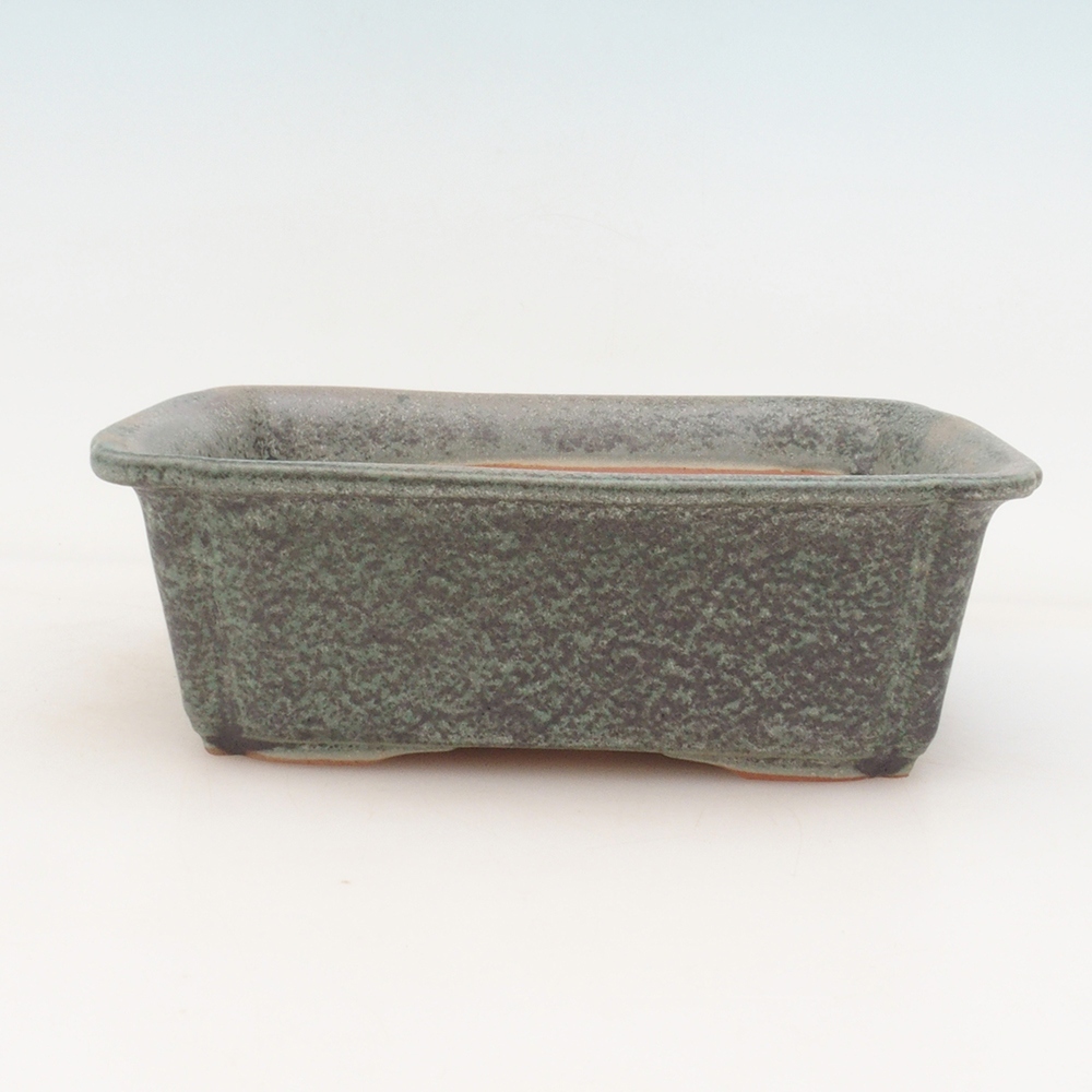 Bonsaischale H50 - 17 x 12,5 x 5,5 cm - grün
