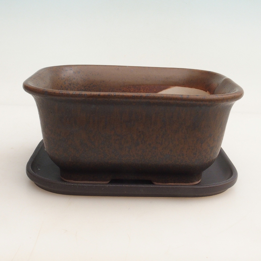 Bonsaischale + Untertasse H36 - 17 x 15 x 7,5 cm - braun