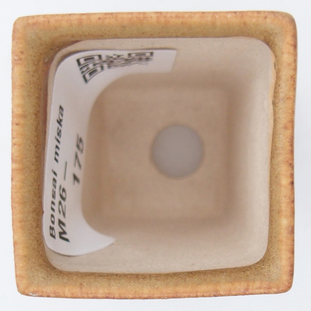 Mini-Bonsaischale 3,5 x 3,5 x 5 cm, braun