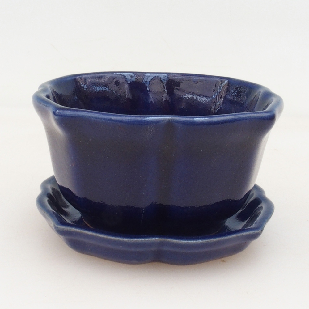 Bonsaischale + Untertasse H95 - 7,5x7,5x4 cm