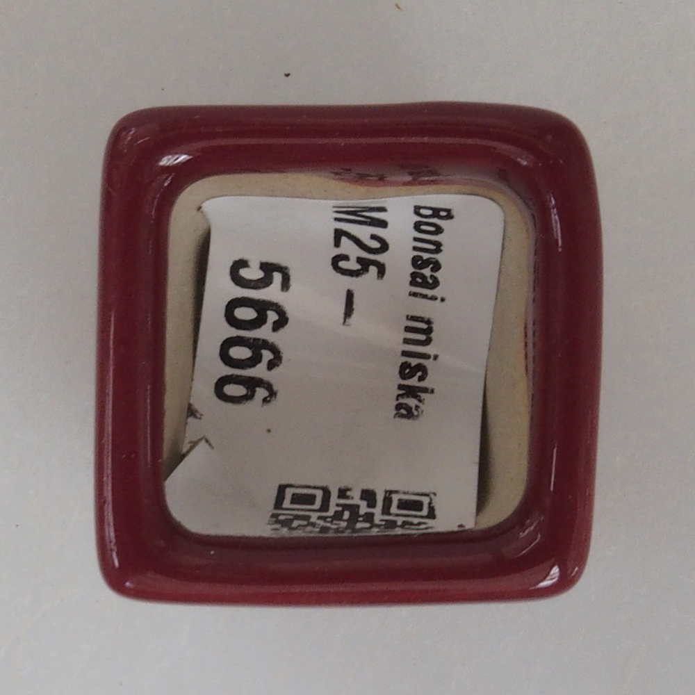 Mini-Bonsaischale 3 x 3 x 3,5 cm, bordeauxrot