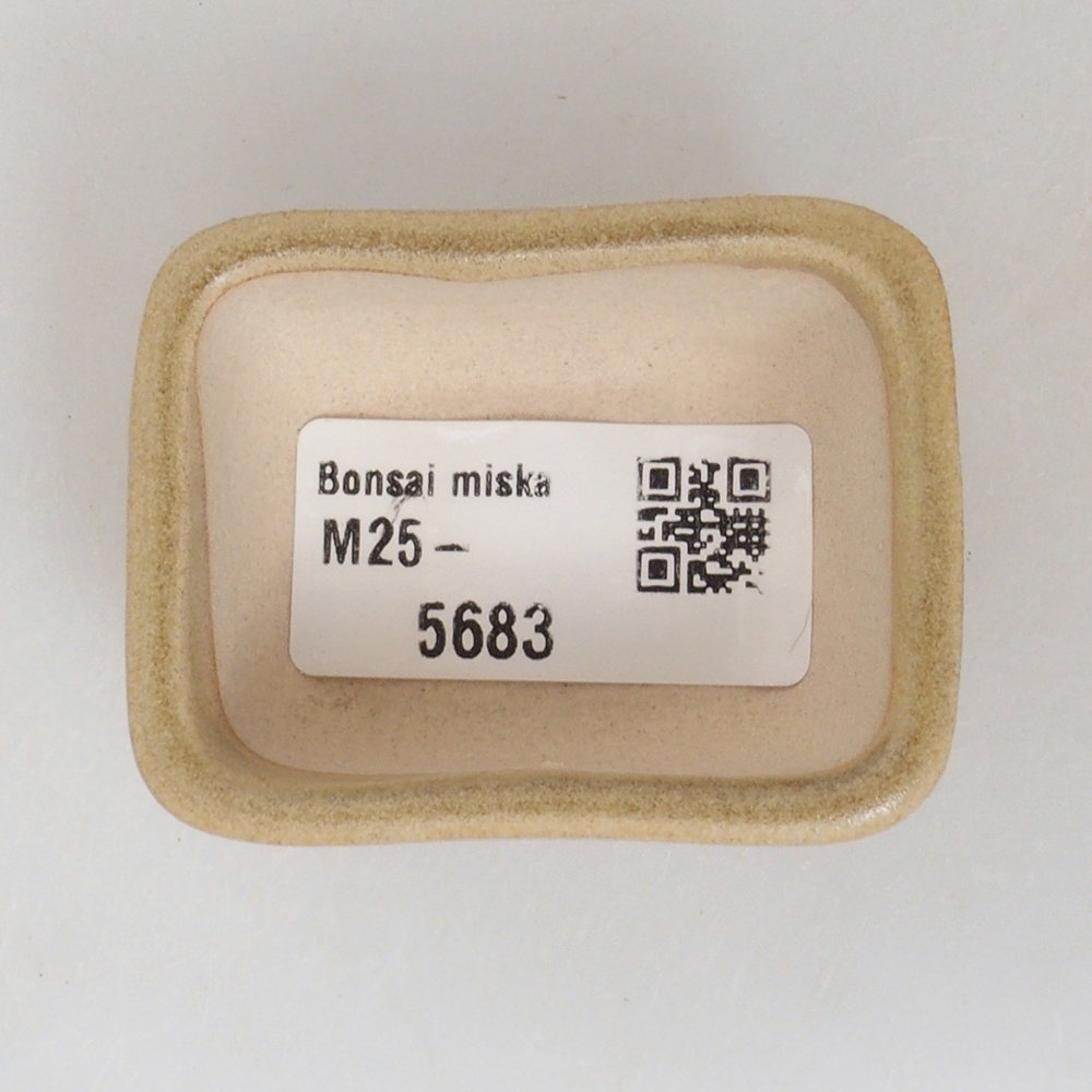 Mini-Bonsaischale 5,5 x 4,5 x 2,5 cm, braun