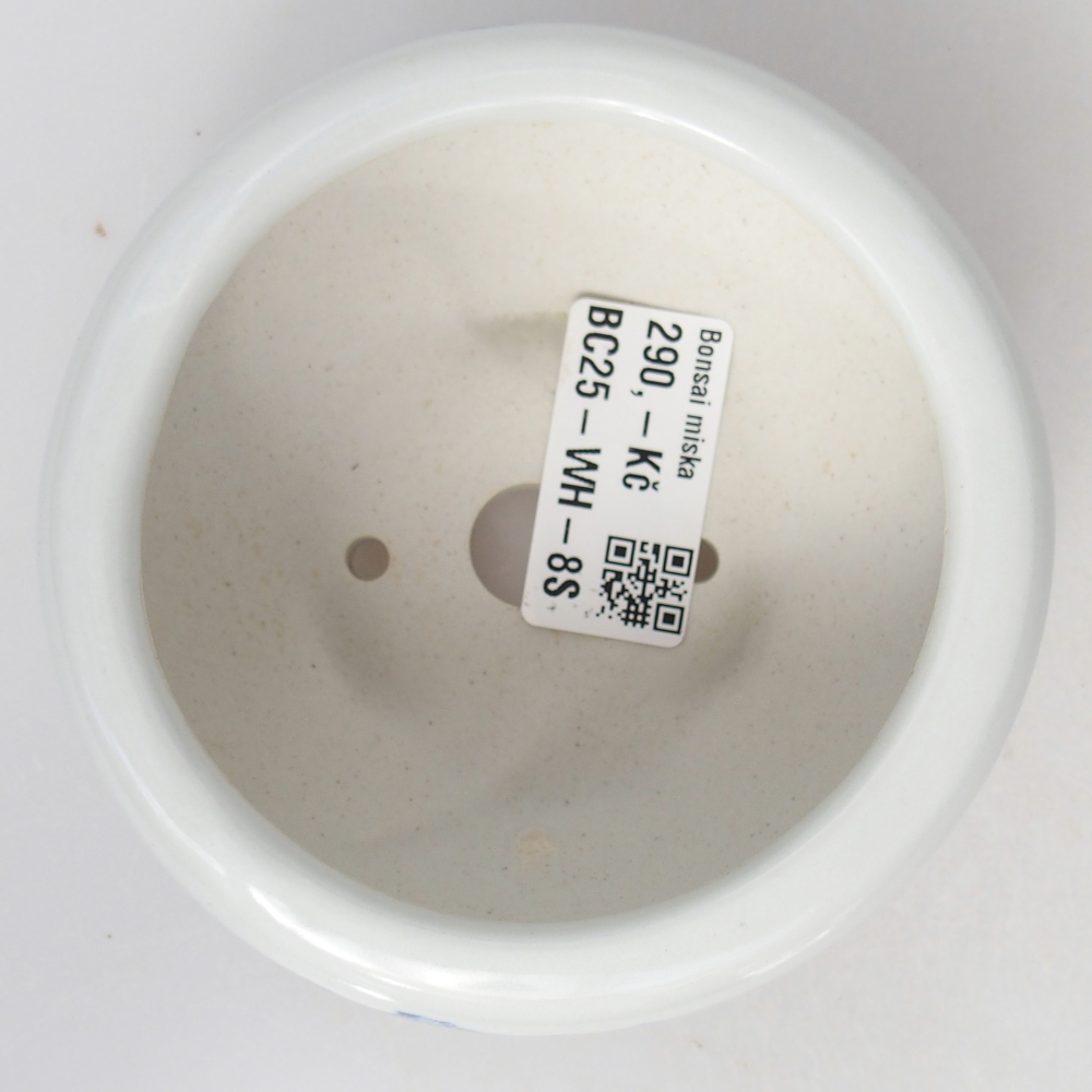 Bonsaischale aus Keramik 10 x 10 x 5 cm, Farbe weiß