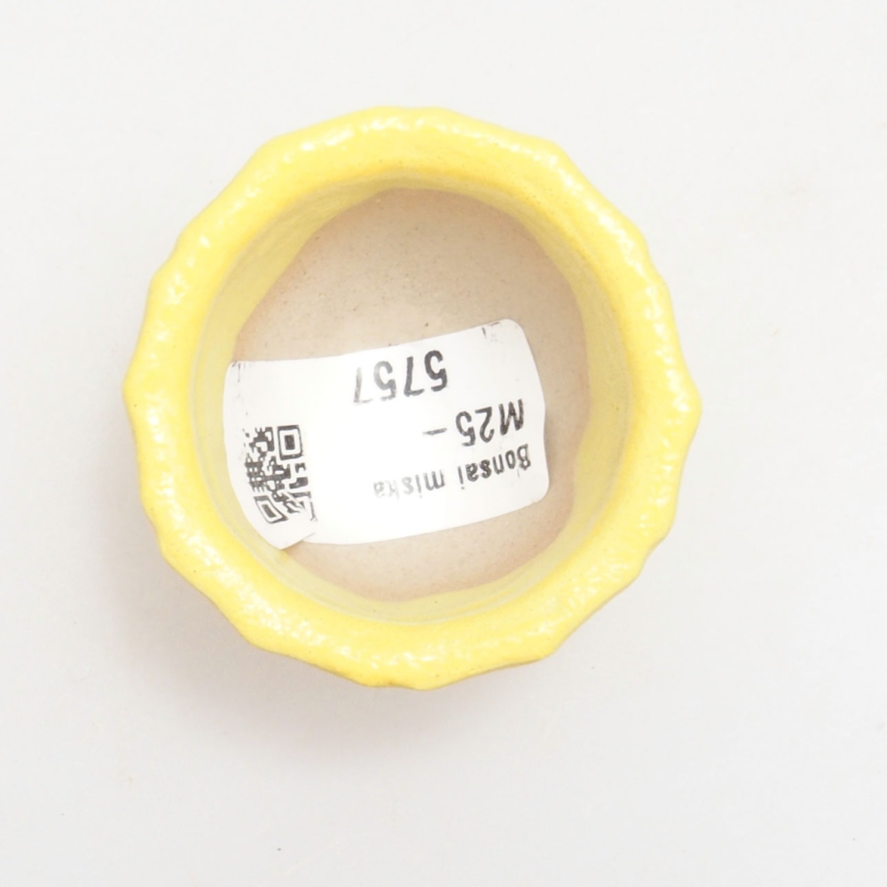 Bonsaischale aus Keramik 5 x 5 x 3 cm, gelb