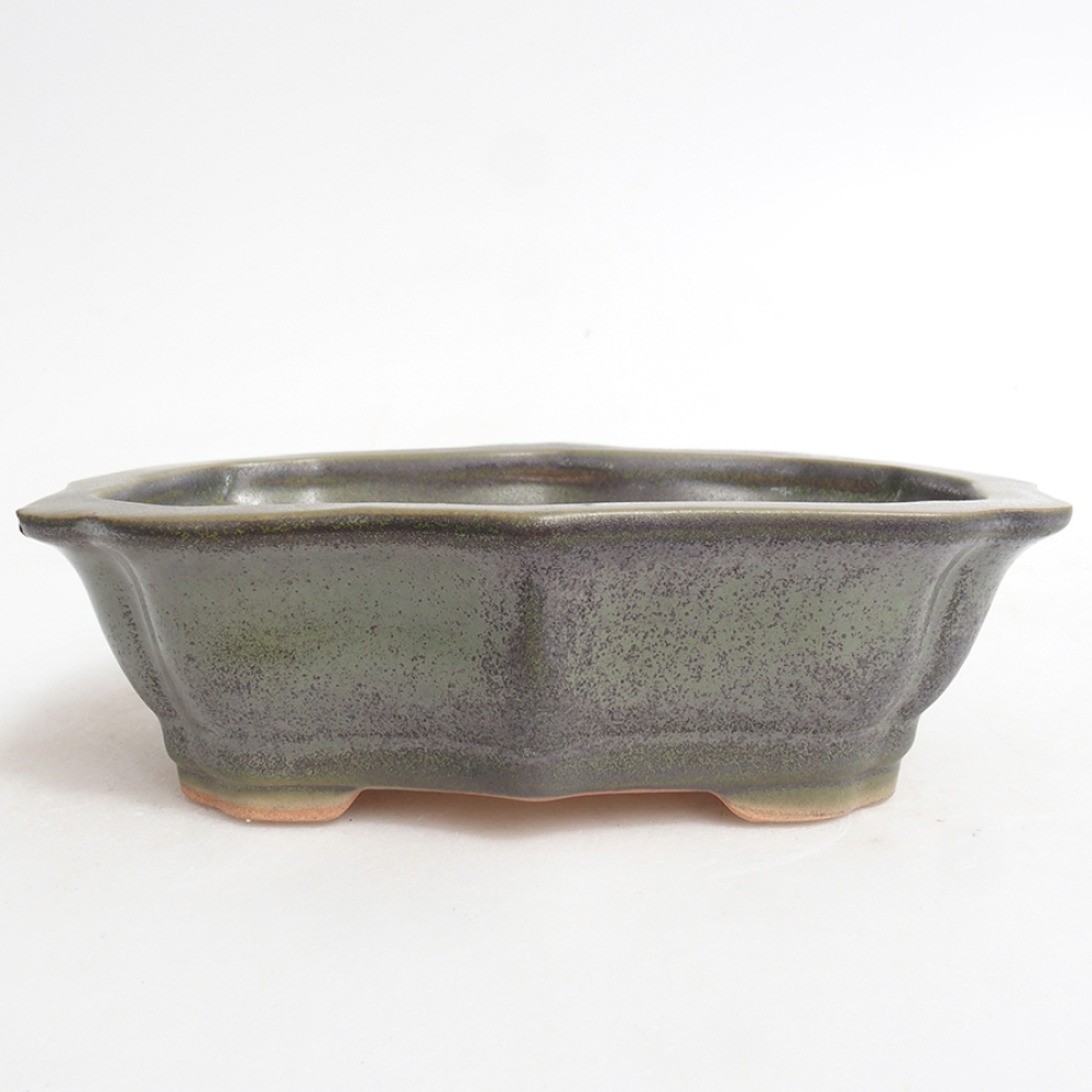Bonsaischale aus Keramik 15,5 x 11,5 x 4,5 cm, grün