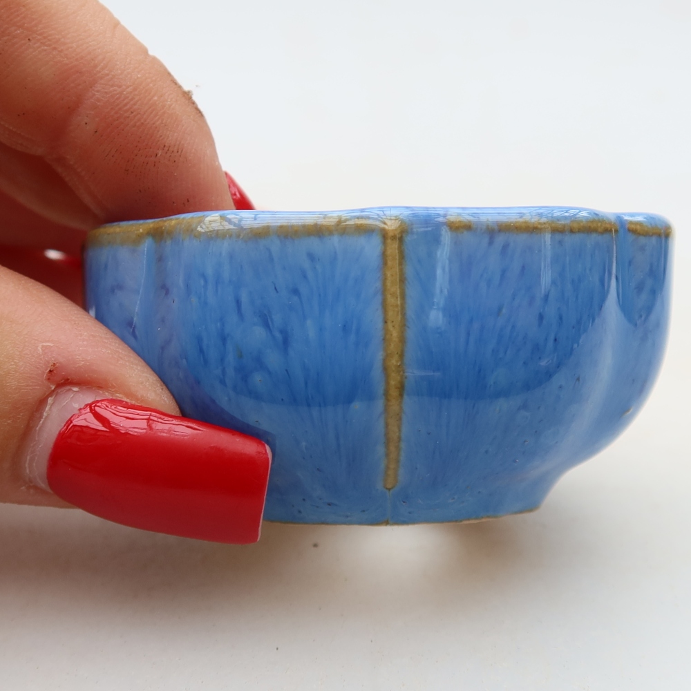 Keramik-Bonsai-Schale, 6 x 6 x 3 cm, Farbe: Blau