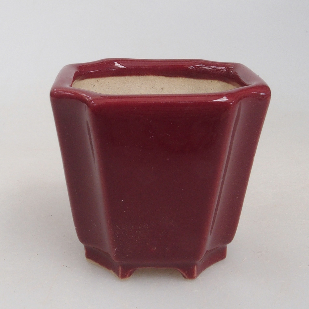 Mini-Bonsaischale 4 x 4 x 4 cm, bordeauxrot