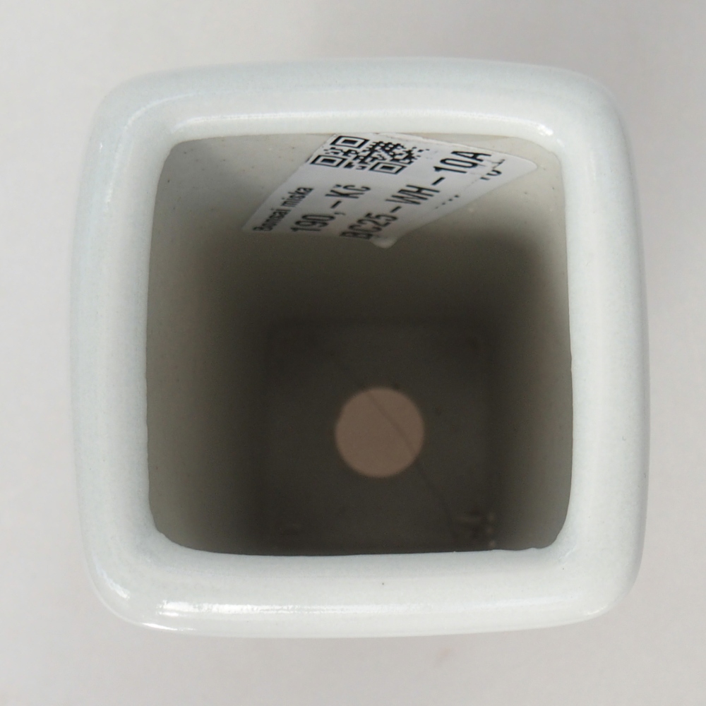 Bonsaischale aus Keramik 5,5 x 5,5 x 12 cm, Farbe weiß