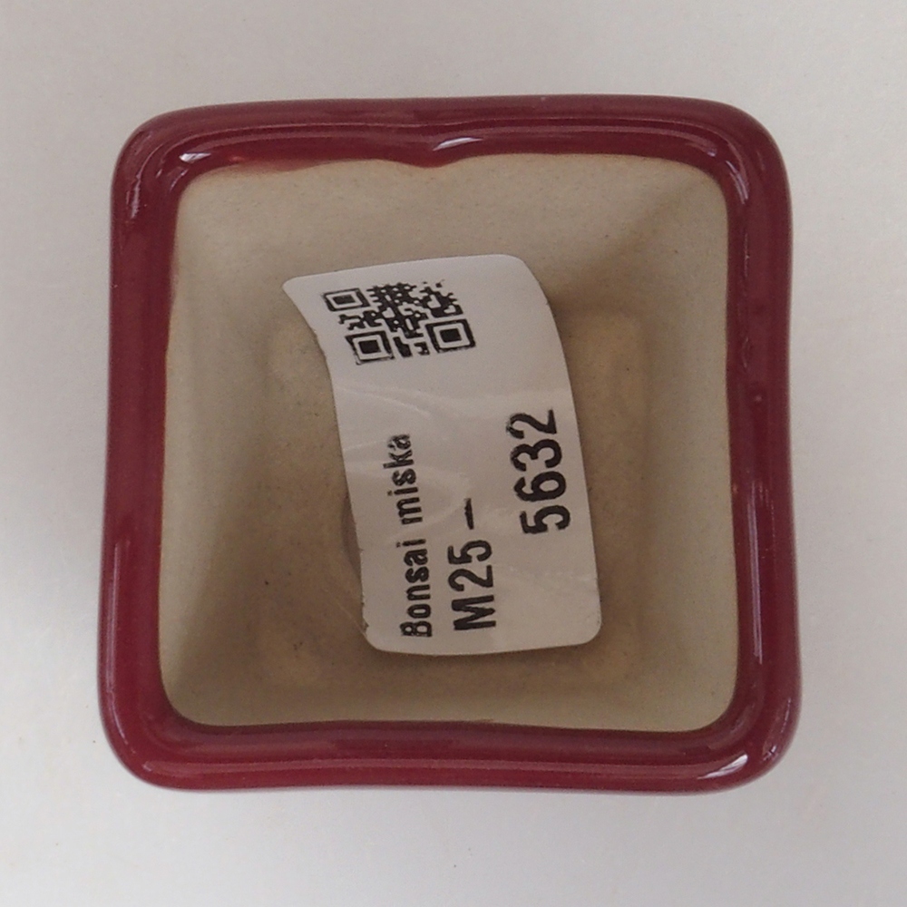 Mini-Bonsaischale 4,5 x 4,5 x 4,5 cm, bordeauxrot