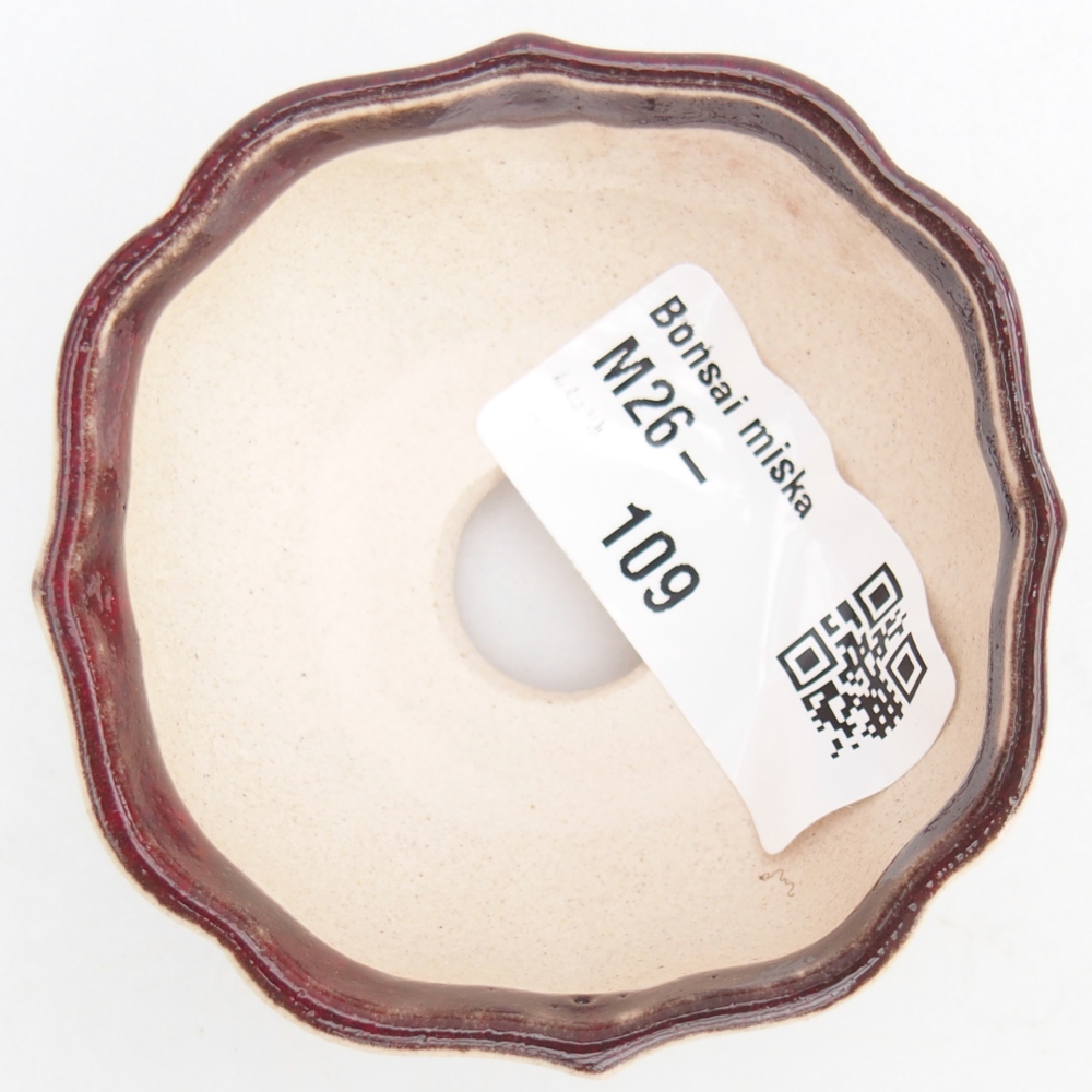 Mini-Bonsaischale 6 x 6 x 3 cm, Farbe rot