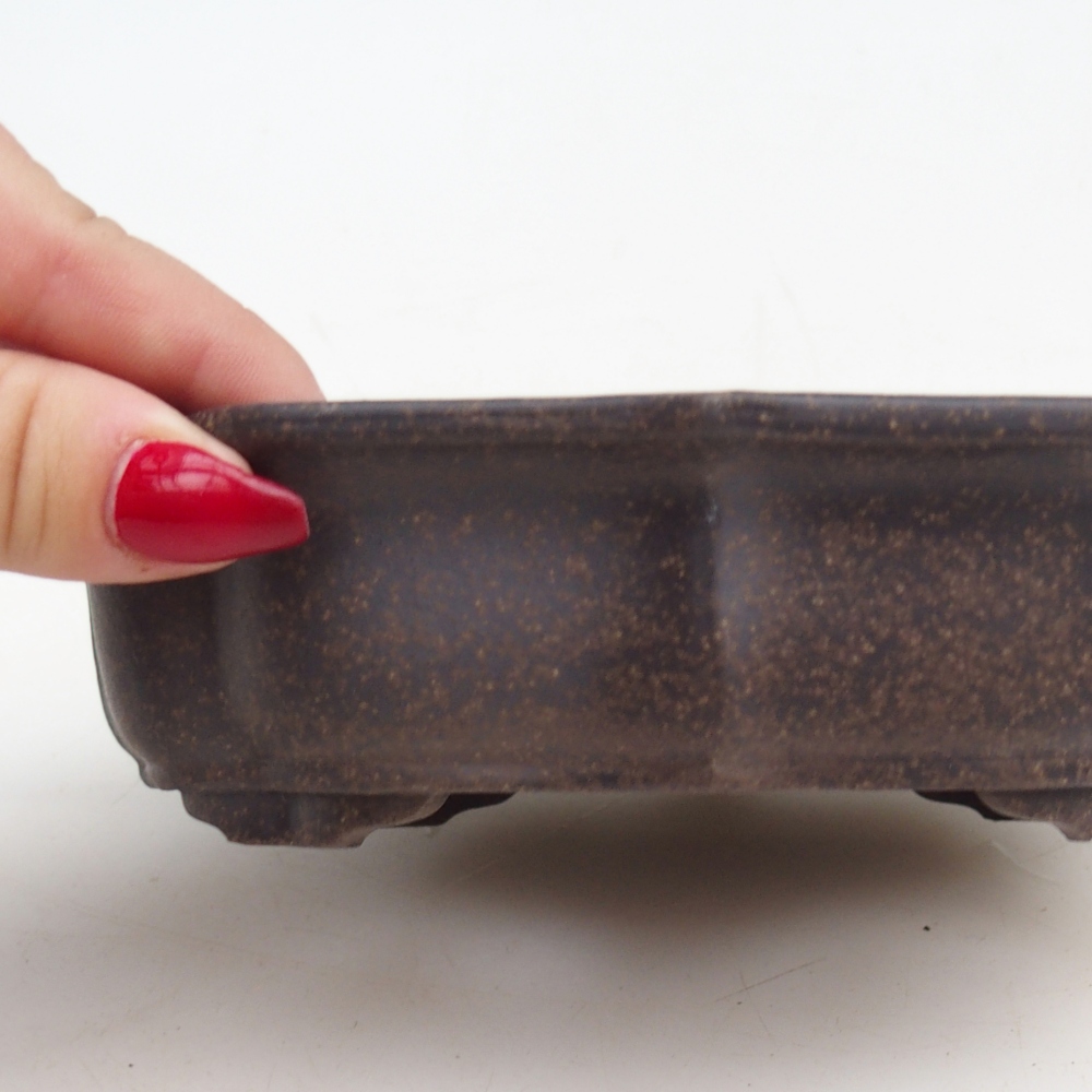 Bonsaischale aus Keramik 16,5 x 13 x 4 cm, Farbe bräunlich ocker