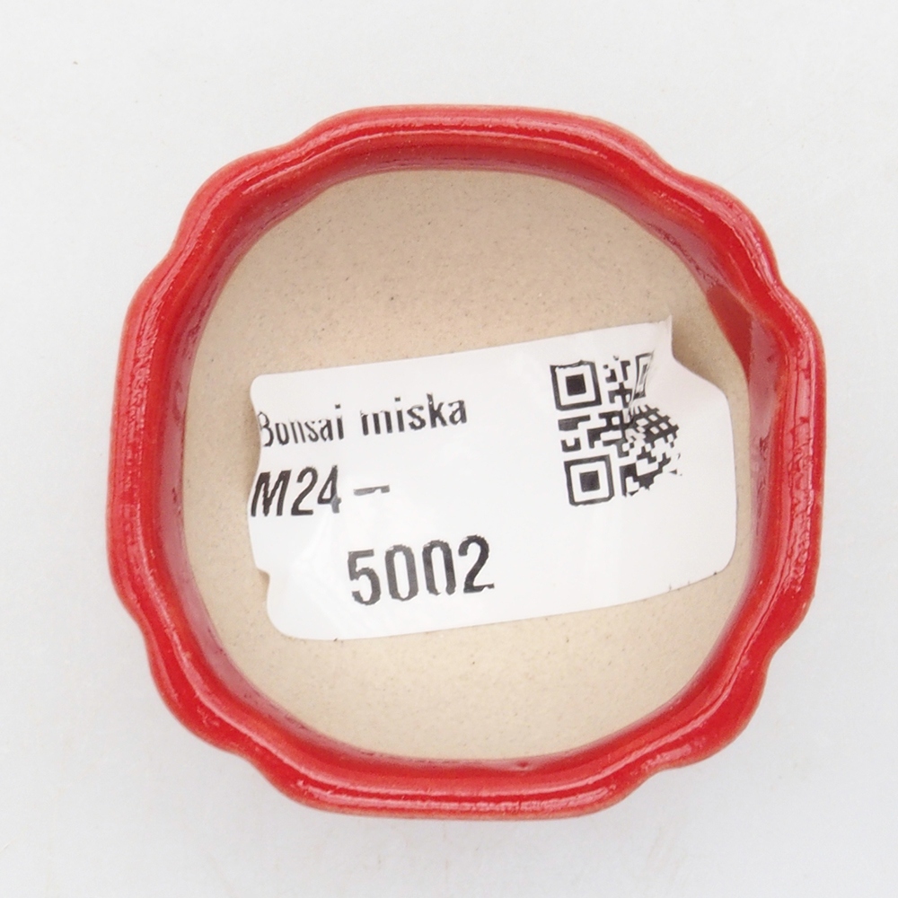Mini-Bonsaischale 4 x 4 x 2,5 cm, Farbe rot