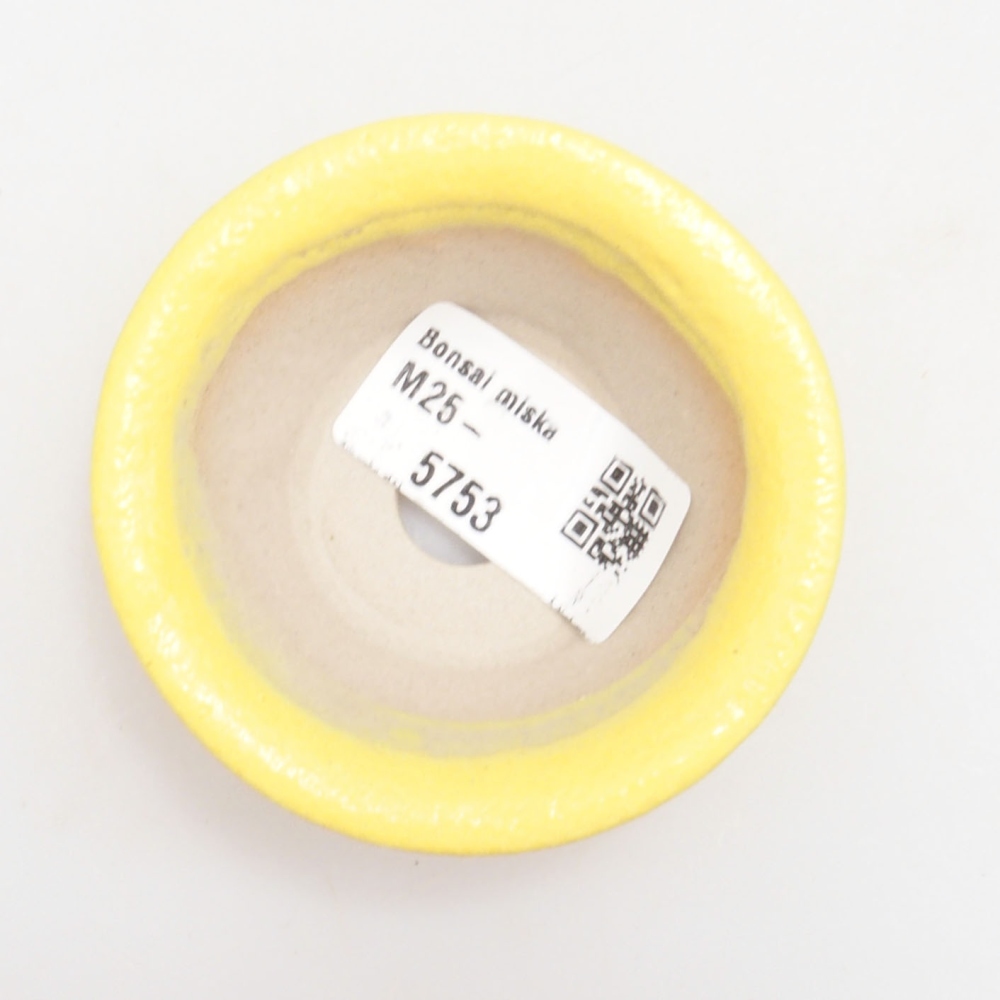 Bonsaischale aus Keramik 7 x 7 x 2,5 cm, gelb