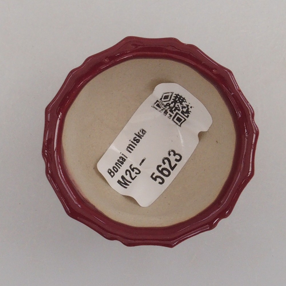 Mini-Bonsaischale 5 x 5 x 3 cm, bordeauxrot