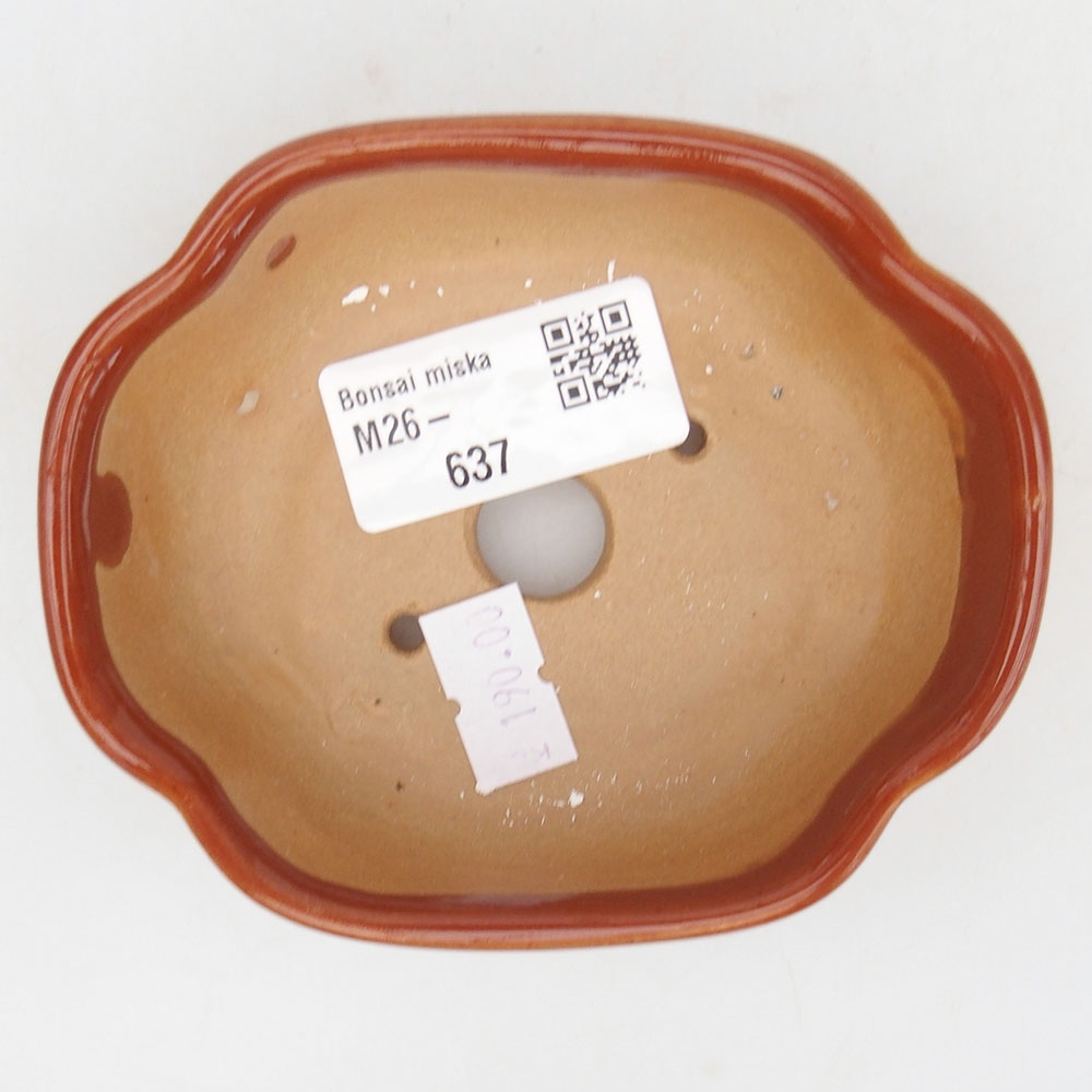Bonsaischale aus Keramik 125 x 10 x 3 cm, braun