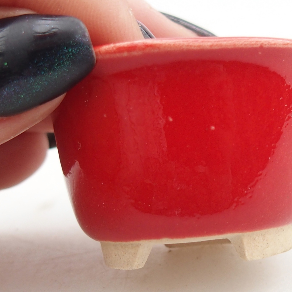 Mini-Bonsaischale 4 x 4 x 2,5 cm, Farbe rot