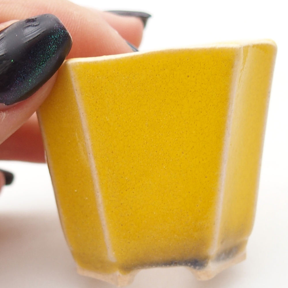 Mini-Bonsaischale 4,5 x 4,5 x 4 cm, gelb