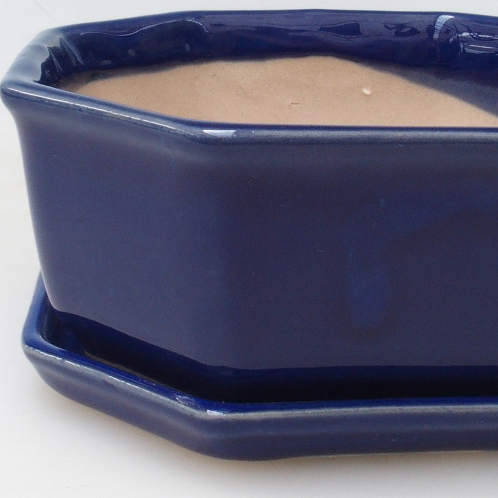 Bonsaischale + Untertasse H13 - 12,5x12,5 x4,5 cm - blau