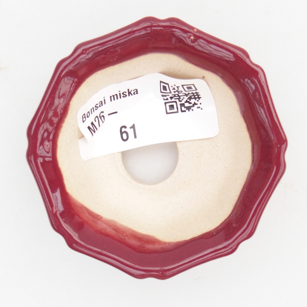 Mini-Bonsaischale 6 x 6 x 2,5 cm, bordeauxrot