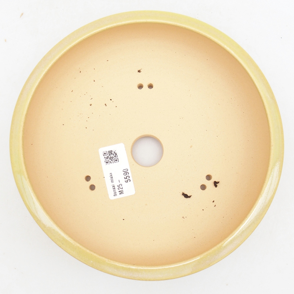 Bonsaischale aus Keramik 18 x 18 x 6 cm, grün