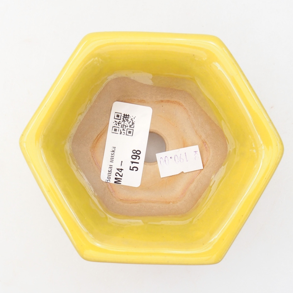 Bonsaischale aus Keramik 10,5 x 9,5 x 5,5 cm, gelb
