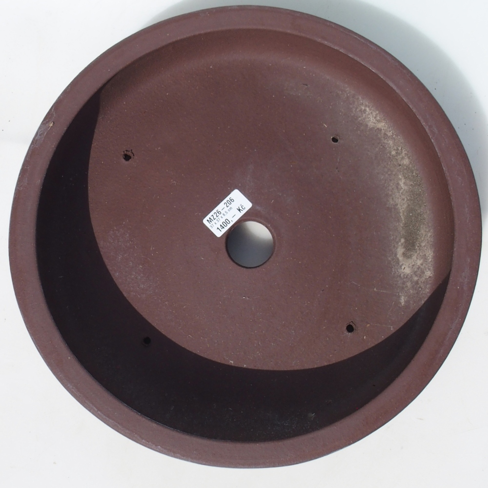 Bonsaischale 37 x 37 x 8,5 cm Birke braun