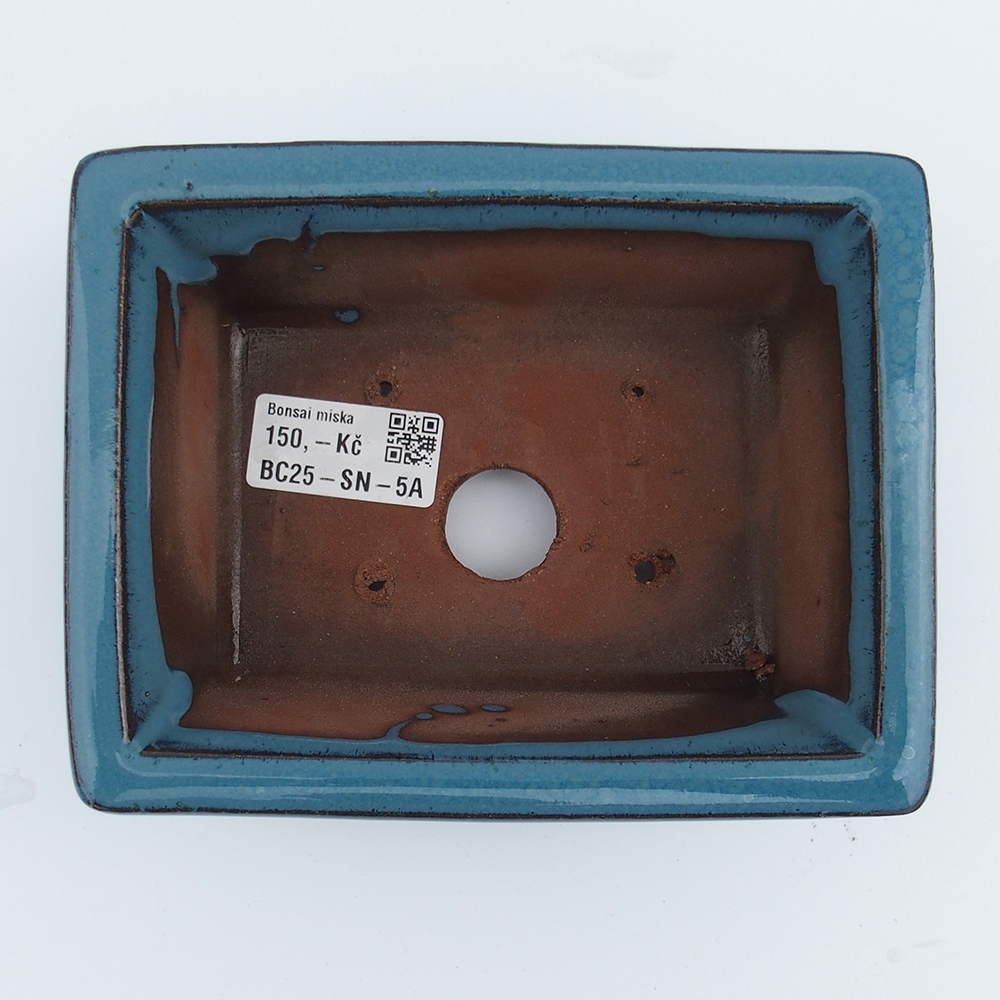 Schale 16 x 12,5 x 6,5 cm blau