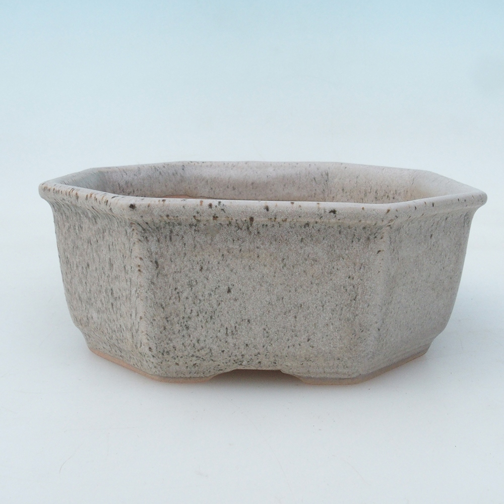 Bonsaischale + Untertasse H13 - 12,5x12,5 x4,5 cm - beige