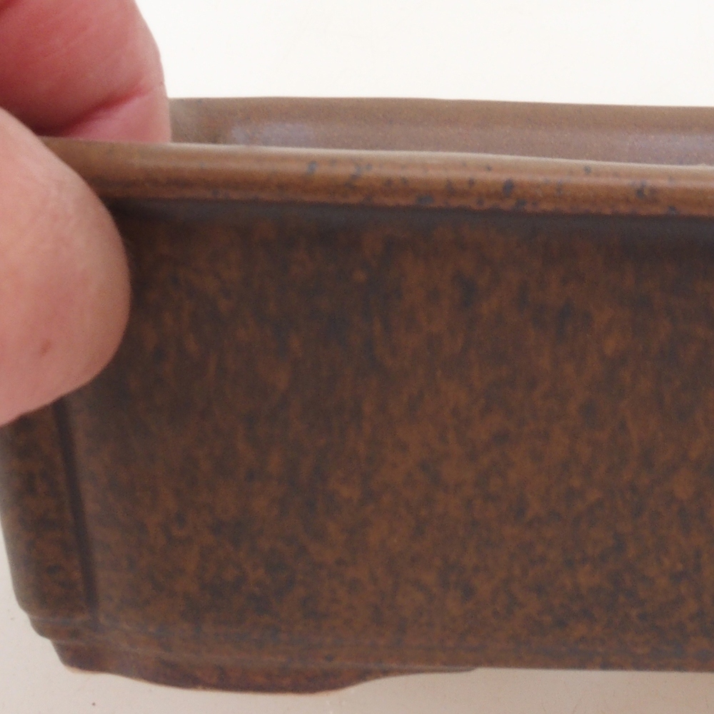 Bonsaischale H50 - 17 x 12,5 x 5,5 cm - braun