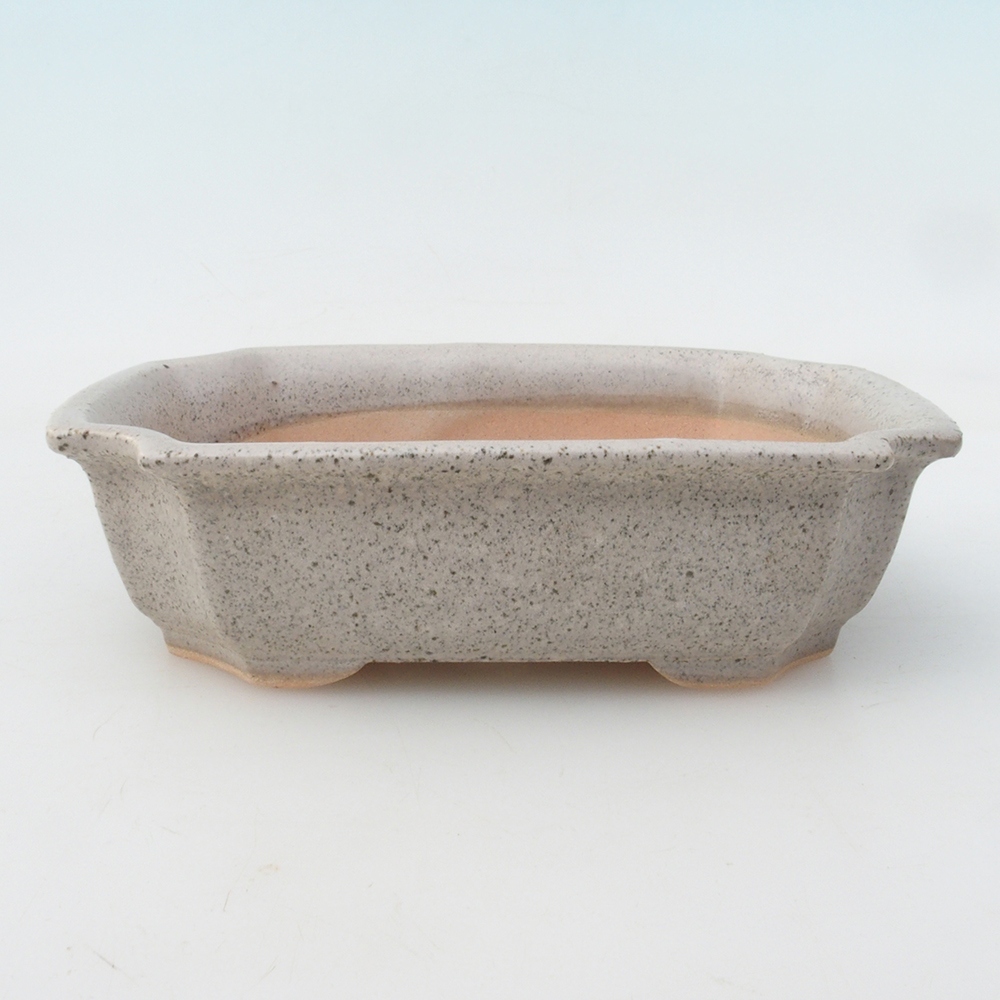 Bonsaischale + Untertasse H17 - 15 x 10 x 4 cm - beige