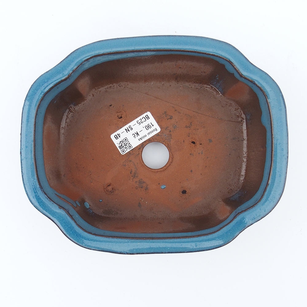 Schale 20 x 16 x 6,5 cm blau