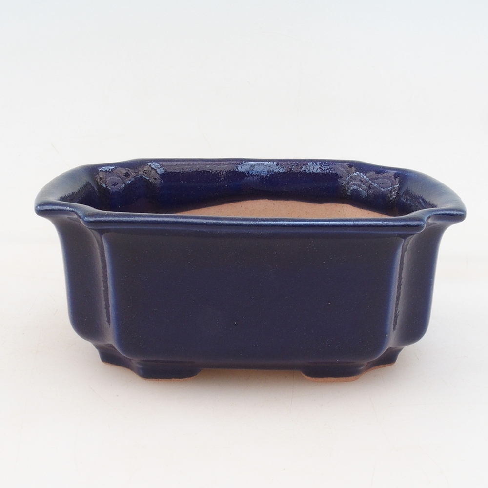 Bonsaischale + Untertasse H01 - blau