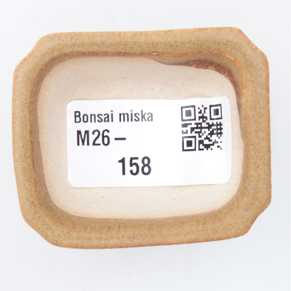 Mini-Bonsaischale 5,5 x 4,5 x 2 cm, braun