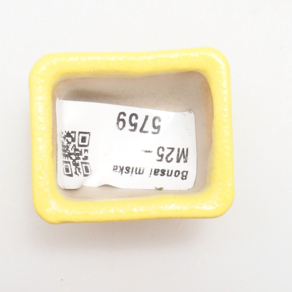 Bonsaischale aus Keramik 4 x 3 x 2,5 cm, gelb