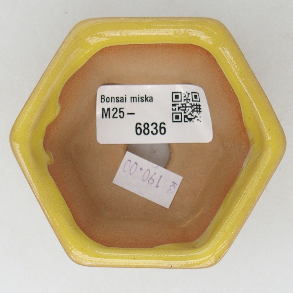 Bonsaischale aus Keramik 7,5 x 7 x 4 cm, gelb