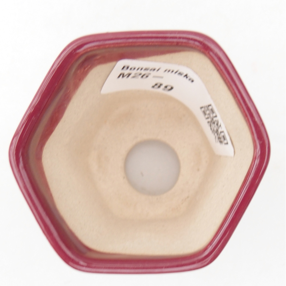 Mini-Bonsaischale 5,5 x 5 x 5 cm, Farbe burgunderrot