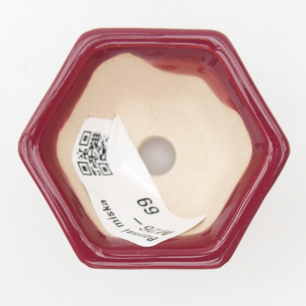 Mini-Bonsaischale 5 x 4,5 x 3 cm, bordeauxrot