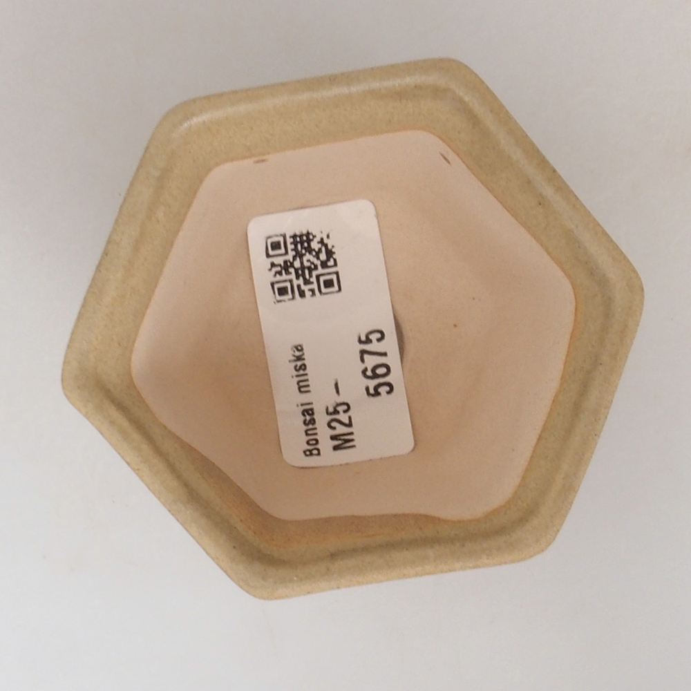 Mini-Bonsaischale 7 x 7 x 5 cm, braun