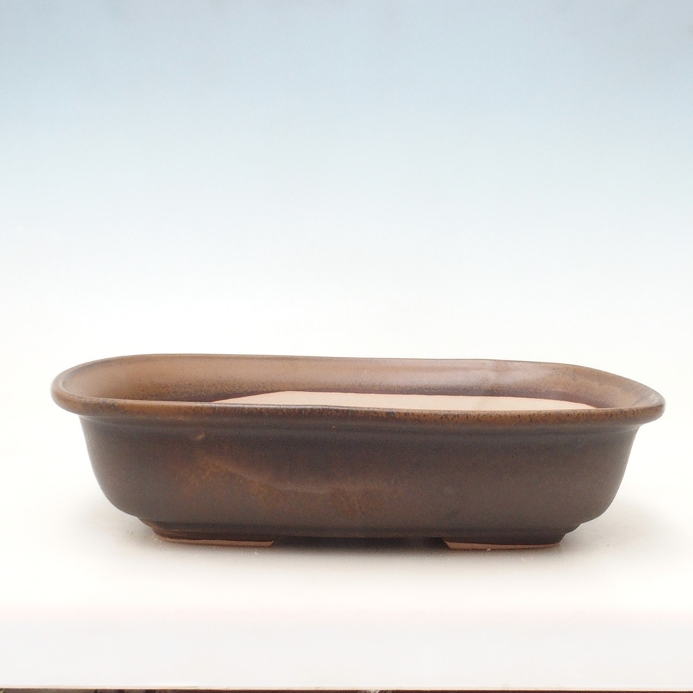 Bonsaischale + Untertasse H10 - 37 x 28 x 9 cm - braun