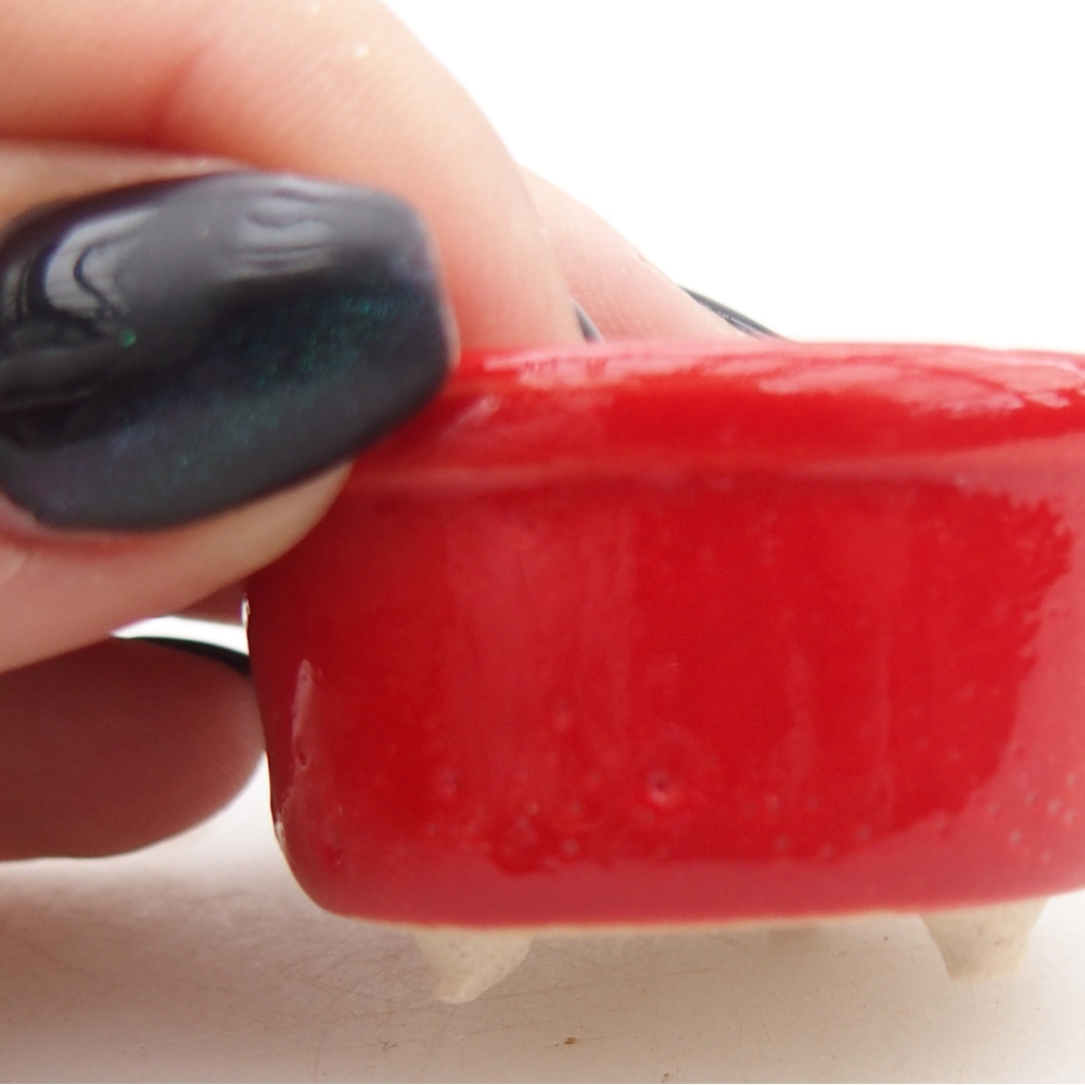 Mini-Bonsaischale 4 x 4 x 2,5 cm, Farbe rot