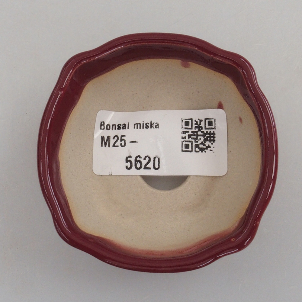 Mini-Bonsaischale 6 x 6 x 2,5 cm, bordeauxrot