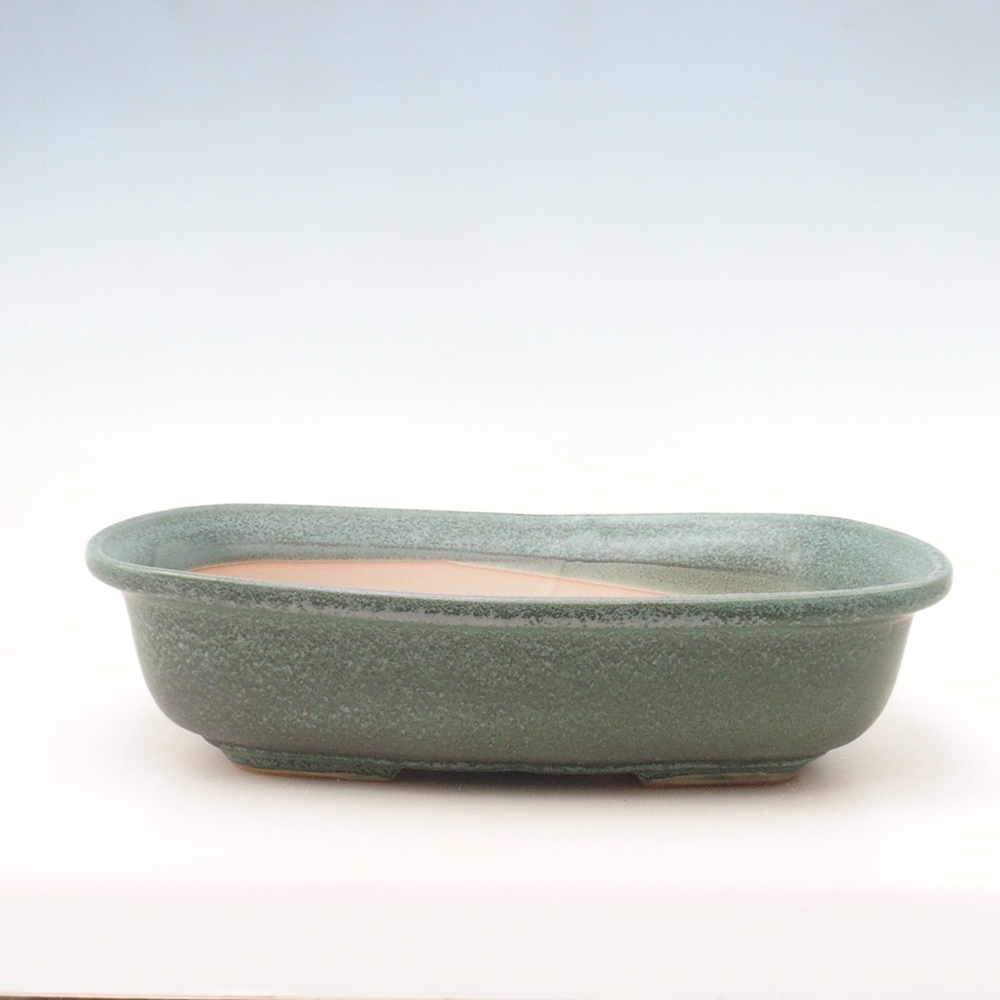 Bonsaischale H10 - 37 x 28 x 9 cm - grün