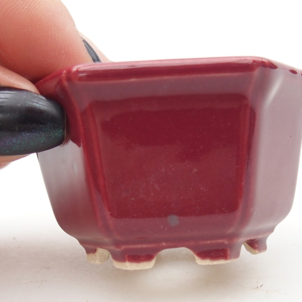 Mini-Bonsaischale 5 x 4,5 x 3 cm, bordeauxrot