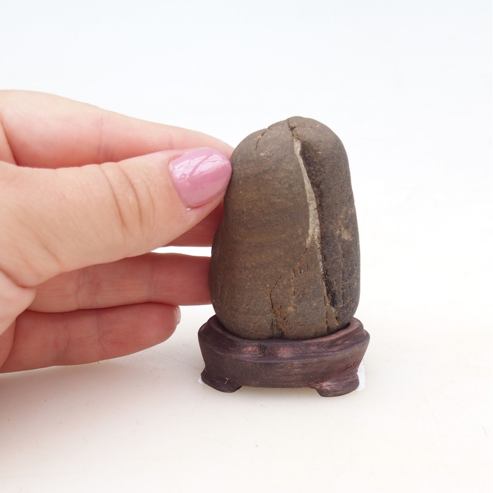 Suiseki - Stein mit DAI (Holzsockel)