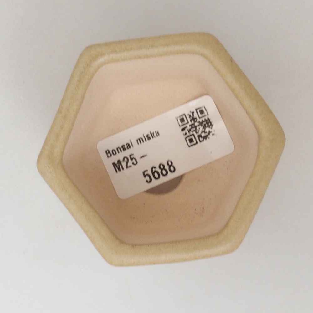 Mini-Bonsaischale 6,5 x 6 x 4 cm, braun