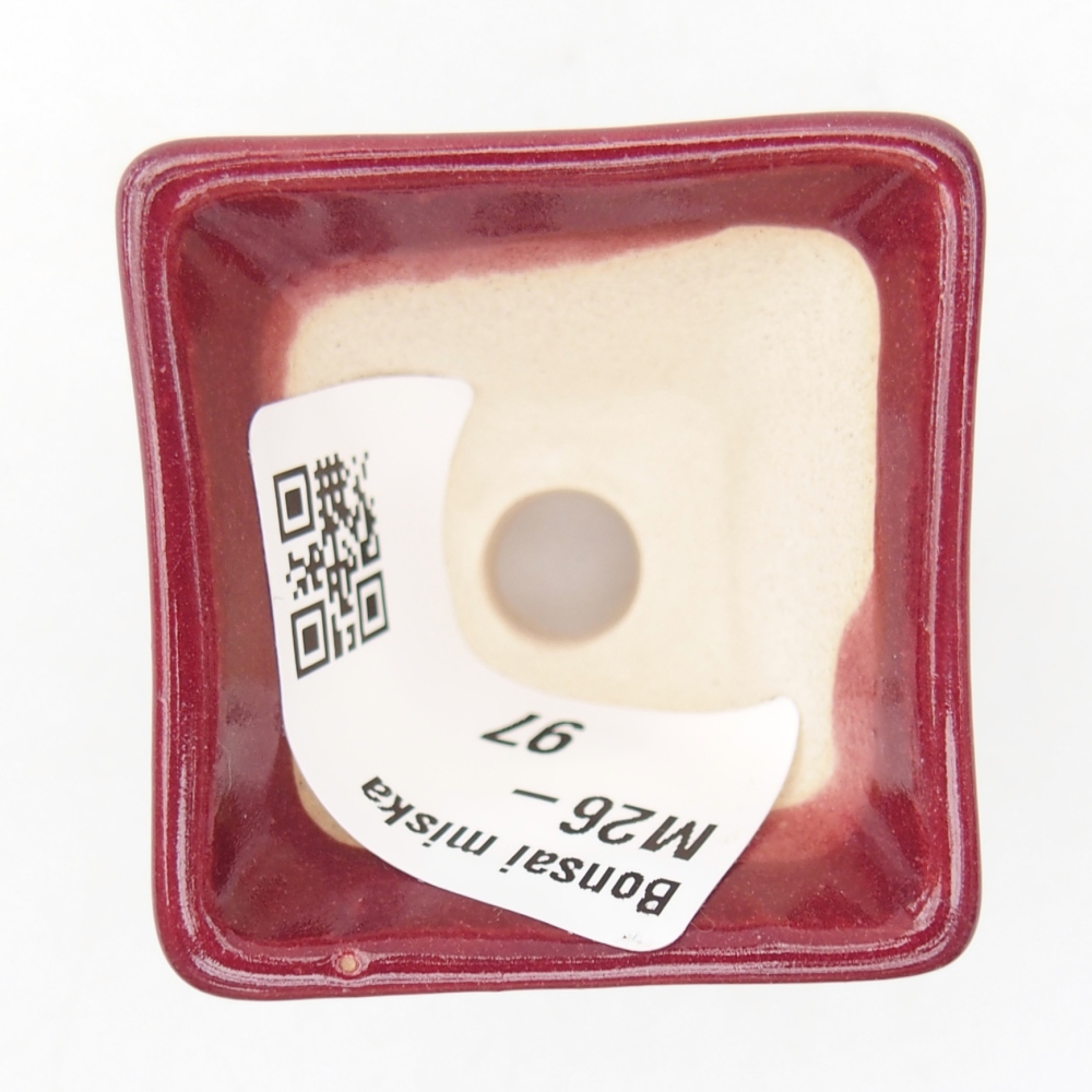 Mini-Bonsaischale 4 x 4 x 3,5 cm, bordeauxrot