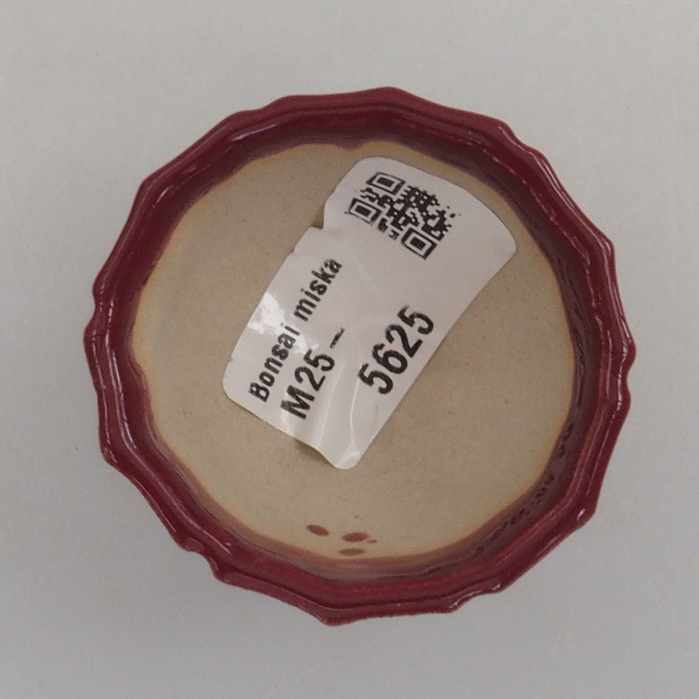 Mini-Bonsaischale 5 x 5 x 3 cm, bordeauxrot