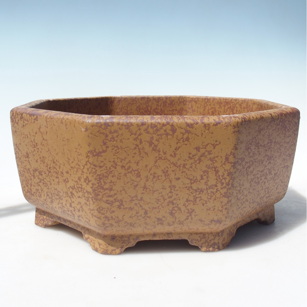 Schale 34 x 32 x 13 cm